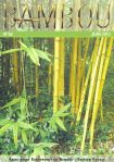 Bambou 62